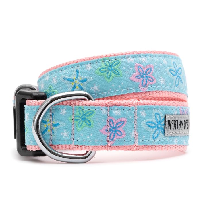 Floral Starfish Collar