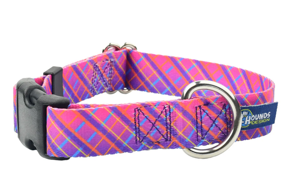 Neon Sunrise Pink Plaid Collar