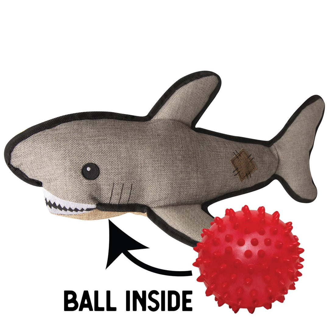 Saul The Shark
