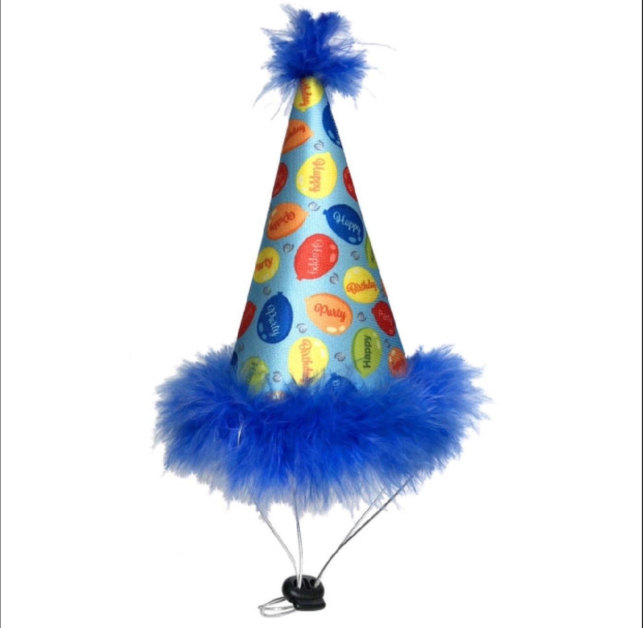 Birthday