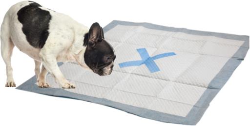 X Marks the Spot Pup Pad 30 Count