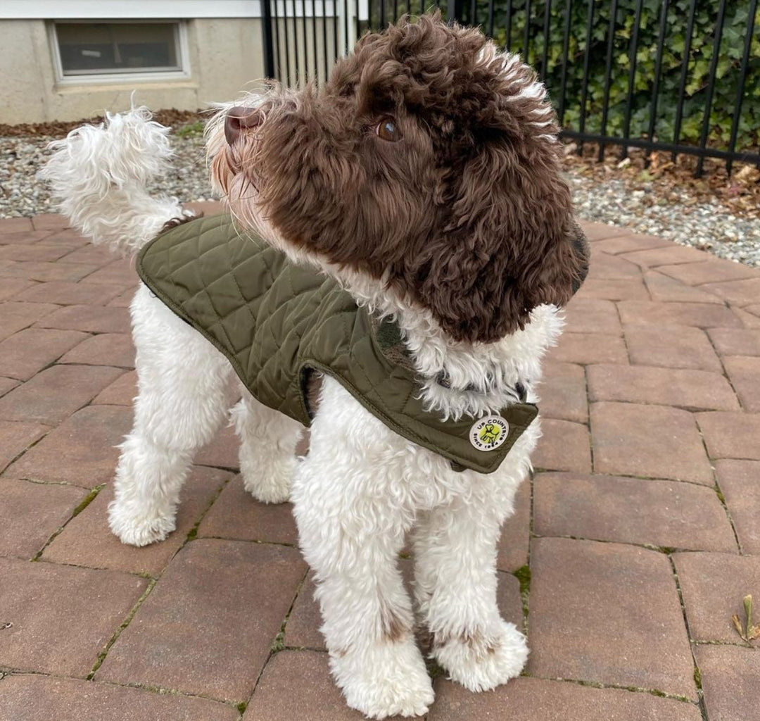 Diamond Quilted Coat-Camo/Green