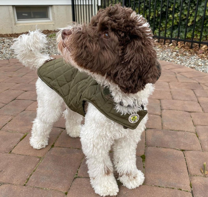 Diamond Quilted Coat-Camo/Green