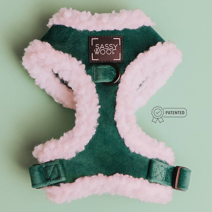 Nice Adjustable Harness