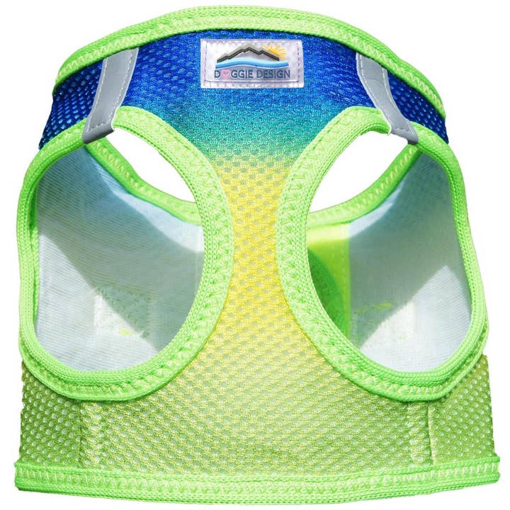 American River Ombre Dog Harness-Cobalt Sport
