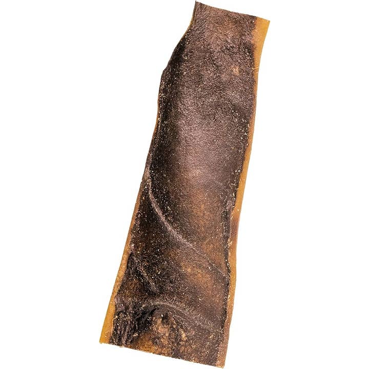 Camel Skin