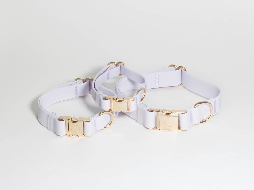 Sunny Tails Waterproof Collar Lavender Haze