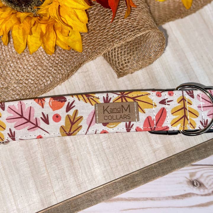 Fall Leaves Collar XL
