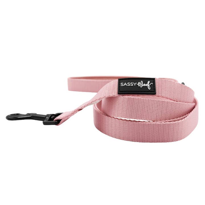 Dusty Rose Leash
