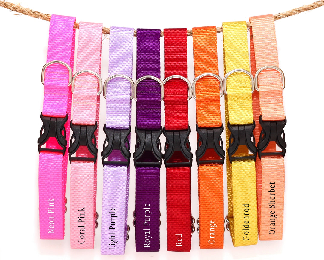 Red Webbing Collar