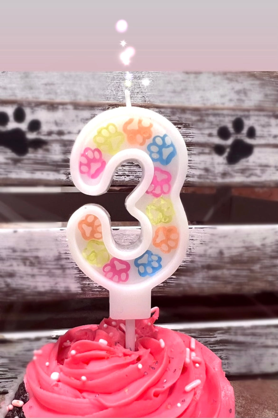 Number Birthday Cake Candle