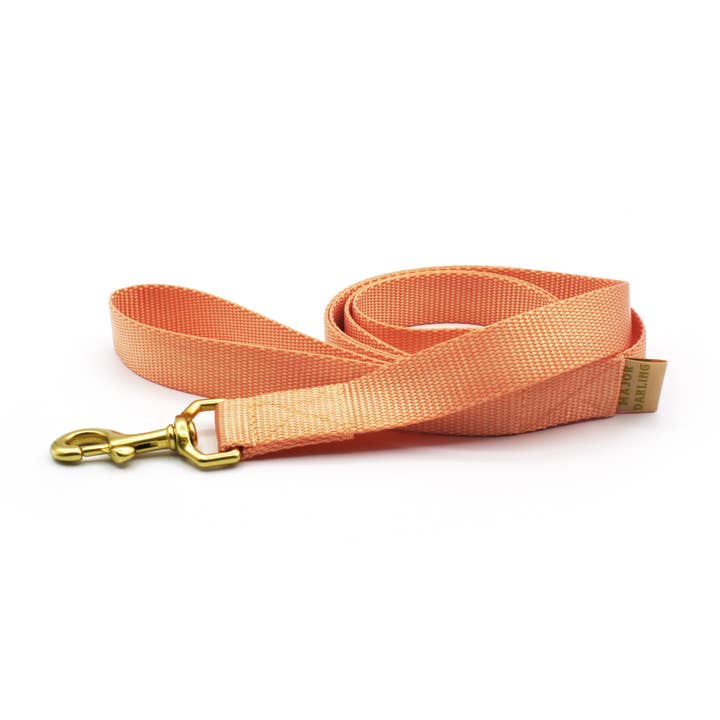 Basic Leash Peach