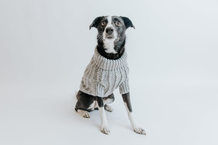 Sassy Woof Cable Knit Sweater Gray 2XL
