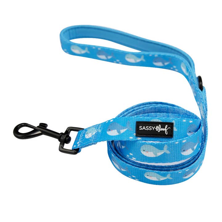 Might As Whale Leash