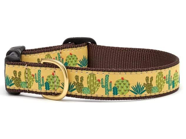 Cactus Collar