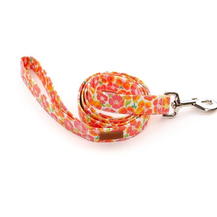 The Piper Leash