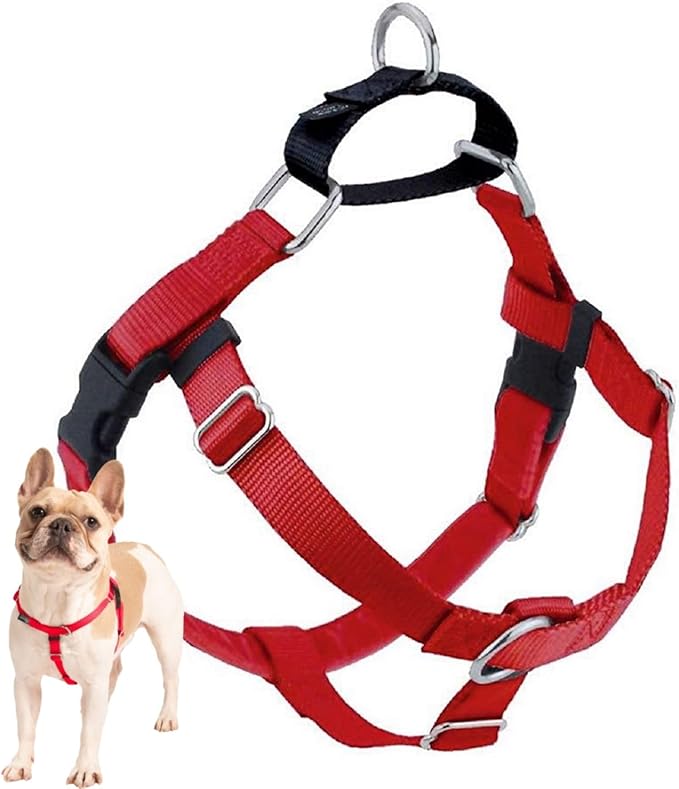 Red Freedom No-Pull Harness