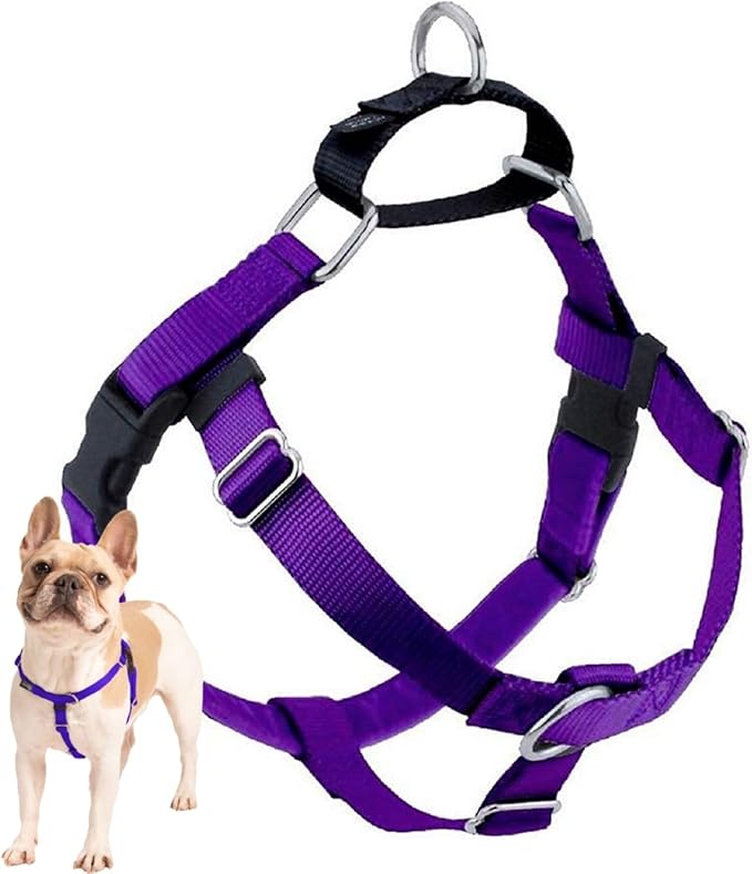 Purple Freedom No-Pull Harness