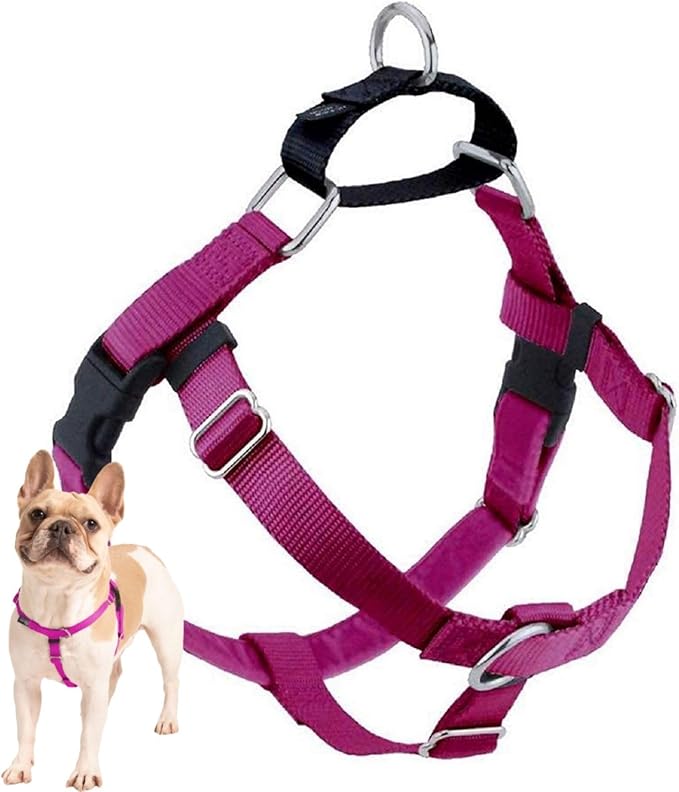 Raspberry Freedom No-Pull Harness