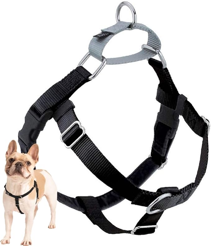Black Freedom No-Pull Harness
