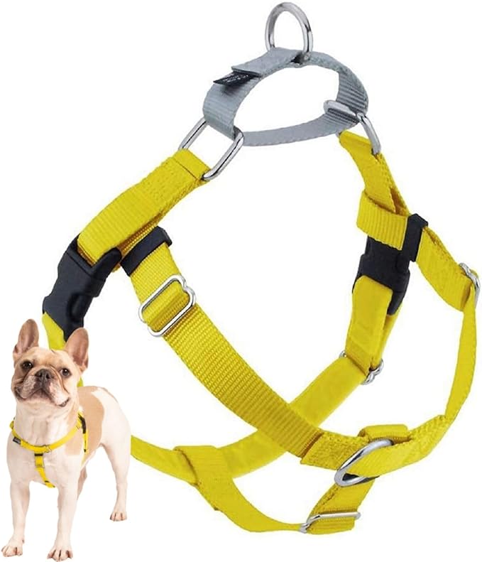 Yellow Freedom No-Pull Harness