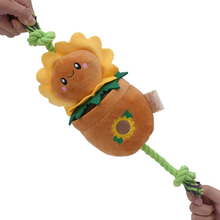 Sunflower Treat-n-Tug