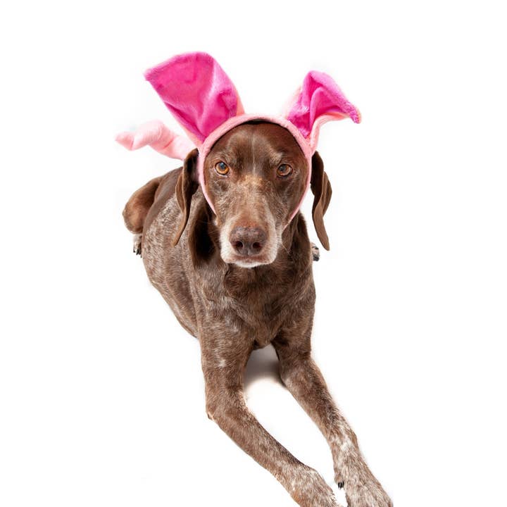 Pig Costume