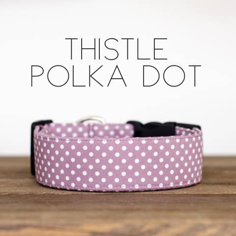 PJP The Thistle Polka Dot Collar Small