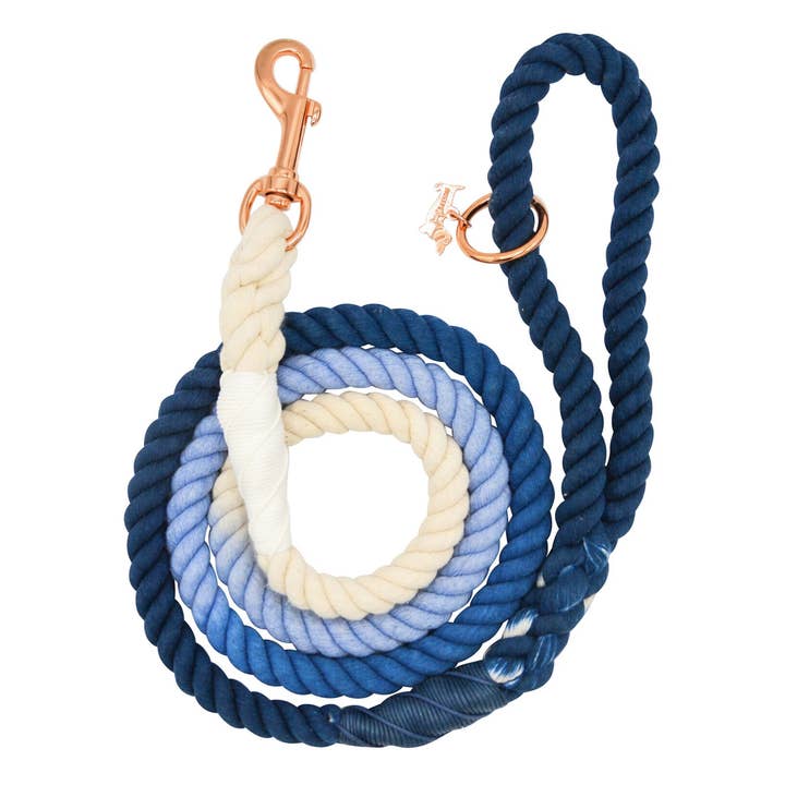 Ombre Blue Rope Leash