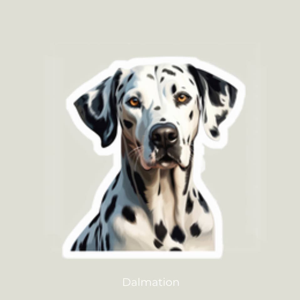 Dalmation Sticker