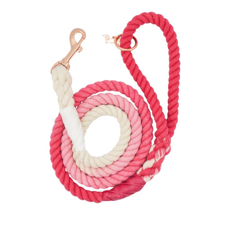 Ombre Pink Rope Leash