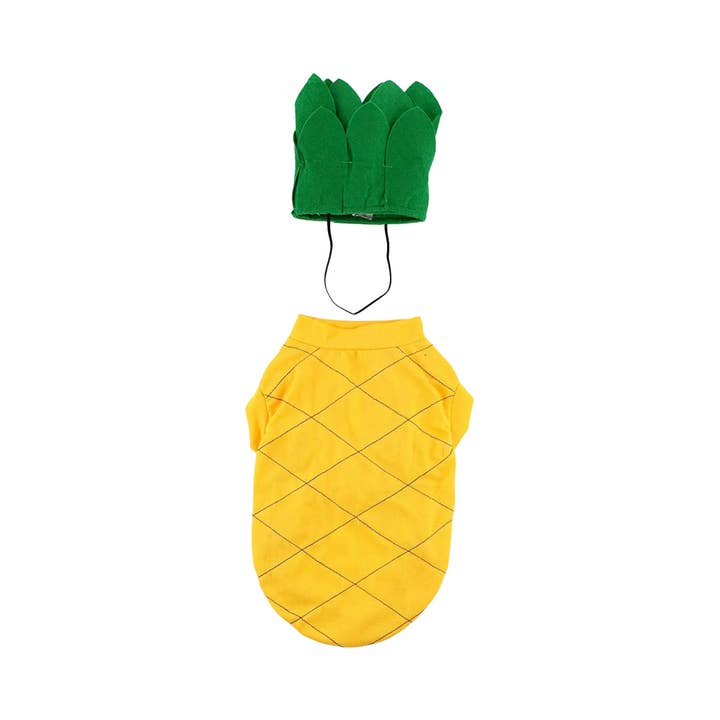 Pineapple Costume