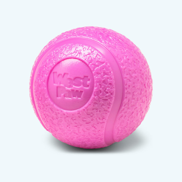West Paw Boundr Large