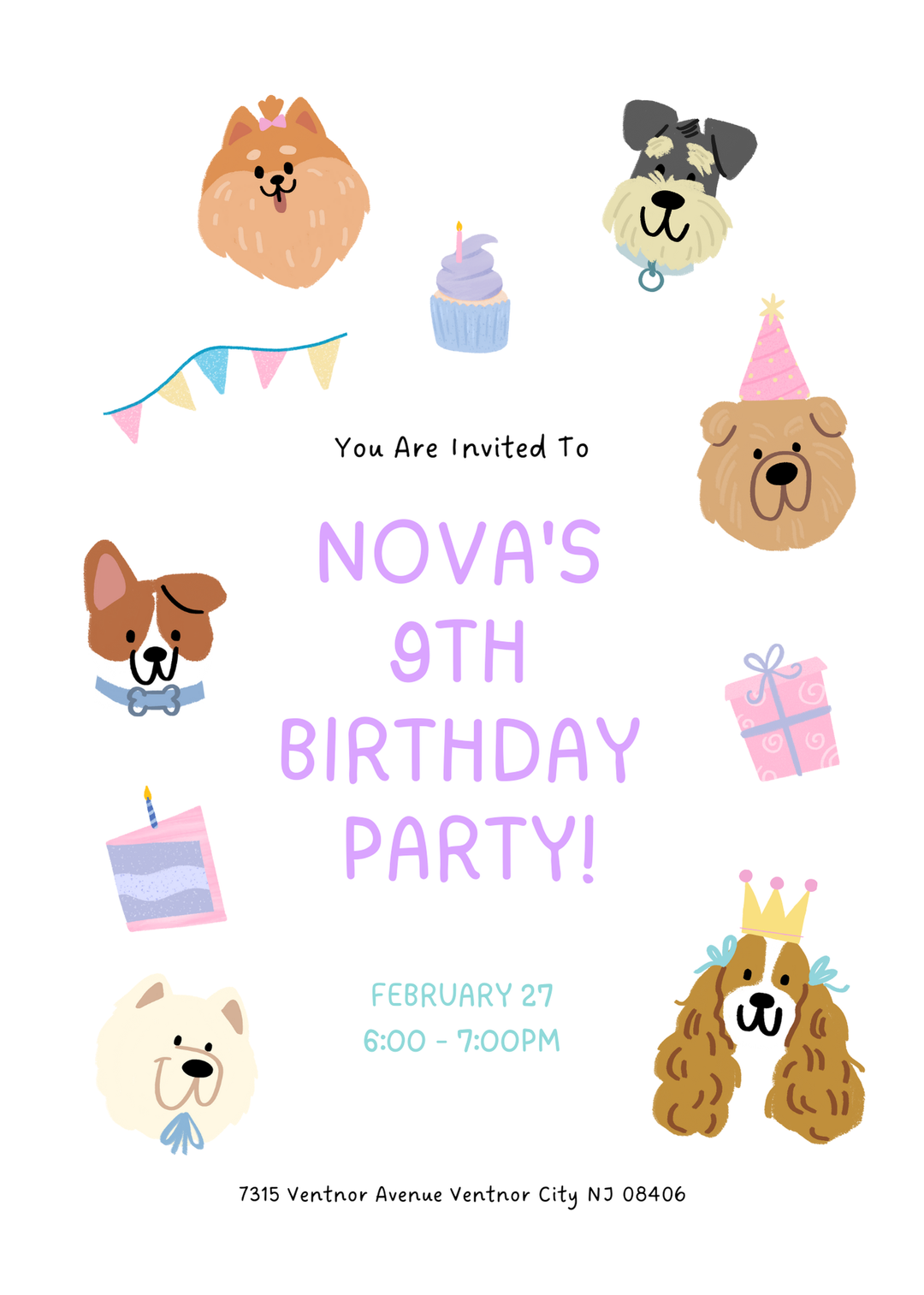 Nova's 9th Birthday Party