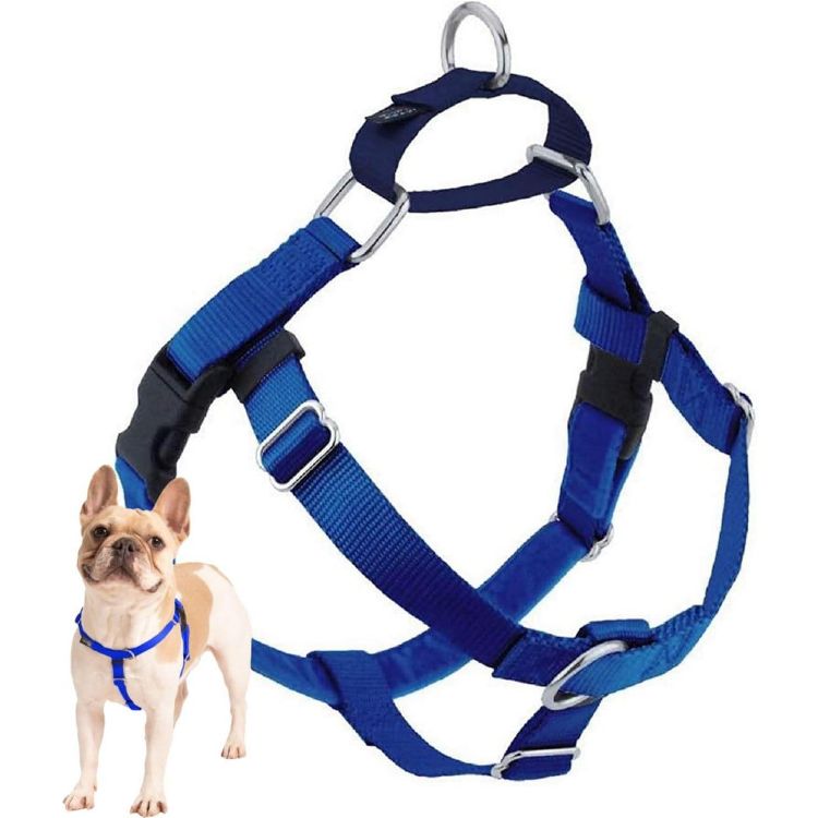 Royal Blue Freedom No-Pull Harness