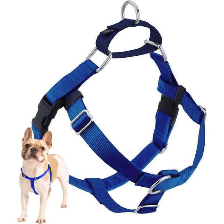 Royal Blue Freedom No-Pull Harness
