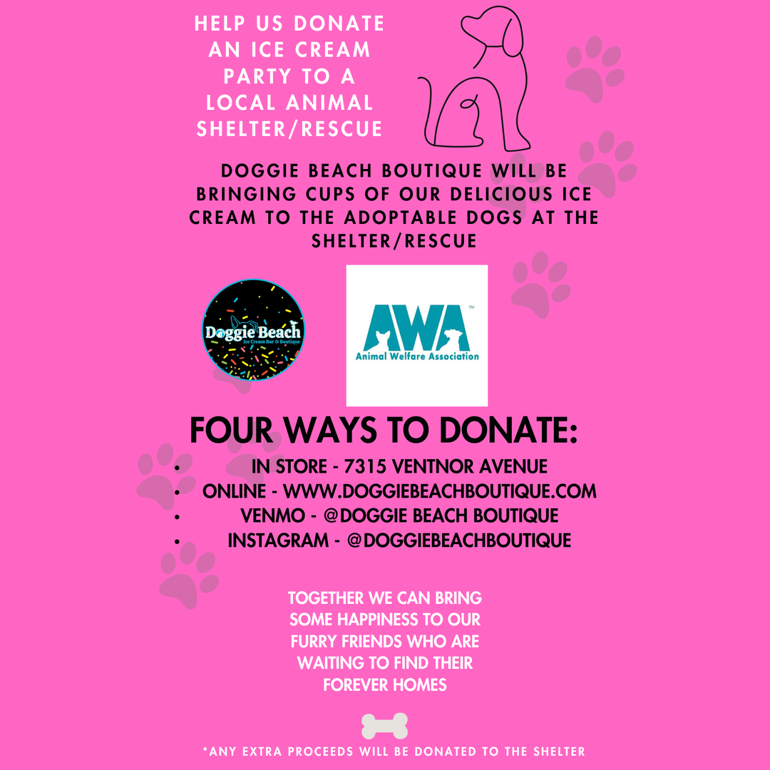 Shelter Ice Cream Donation