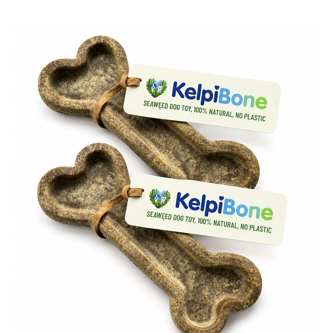 Kelpi Bone