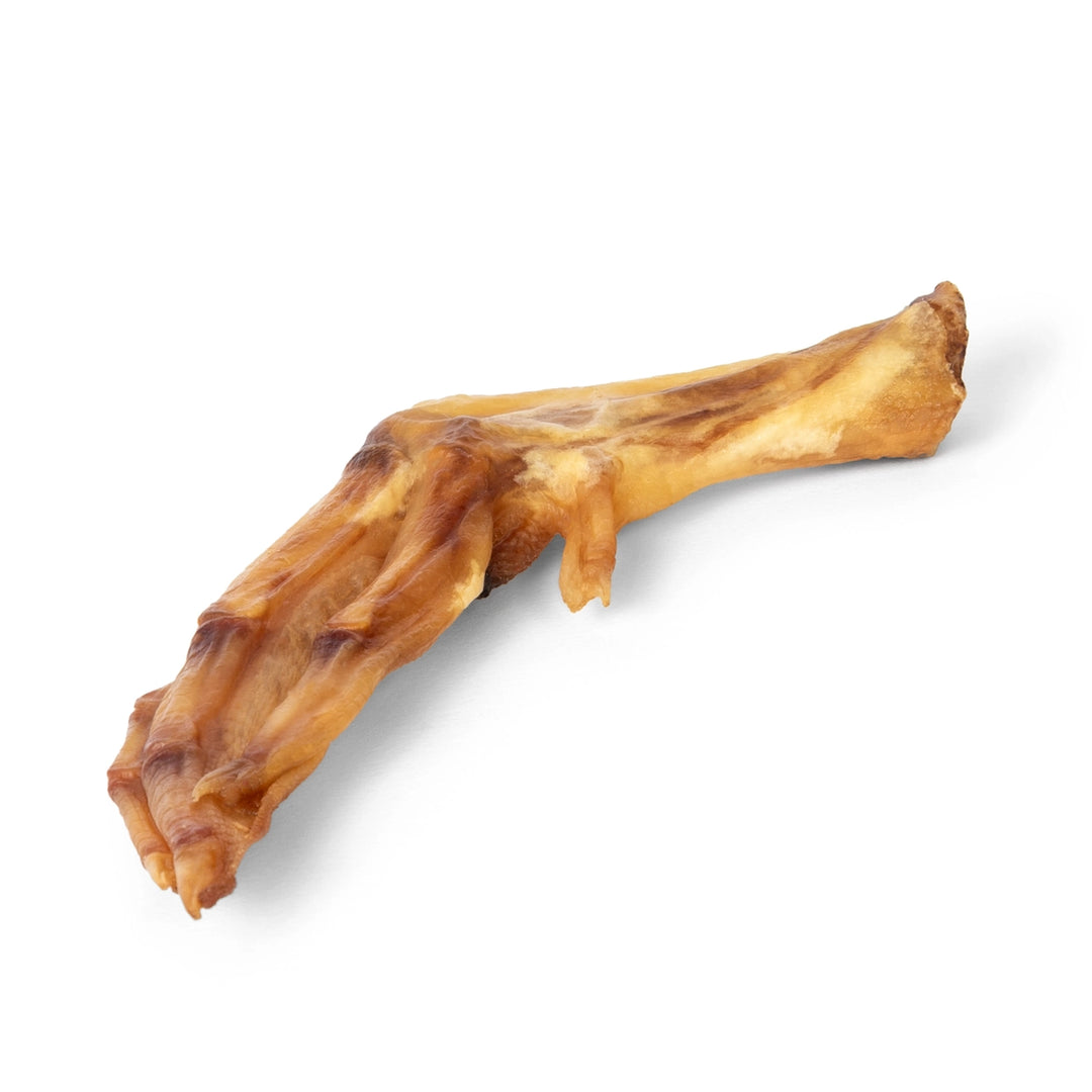 Duck Feet