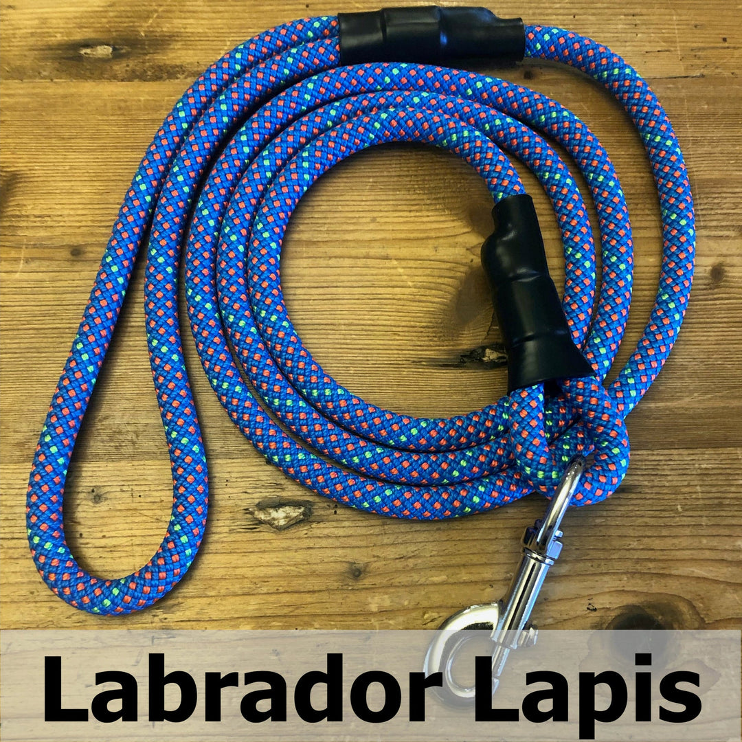 Standard Clip Leash 6" Labrador Lapis