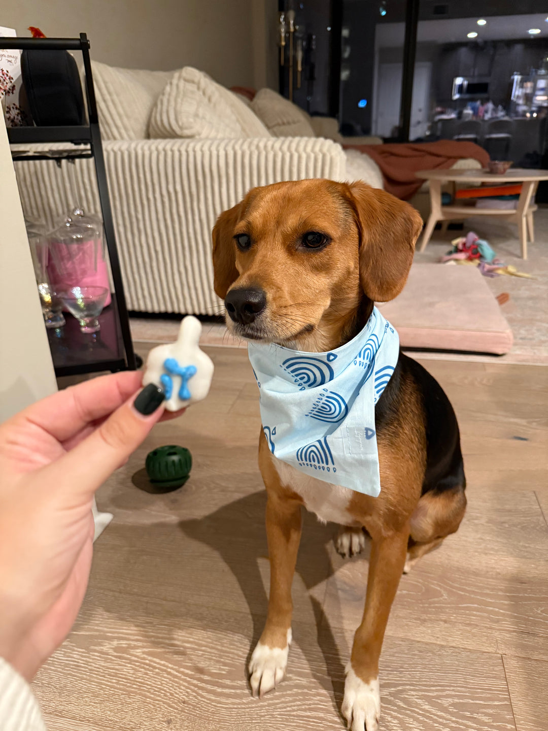 Wanderlust Wags Hanukkah Bandana