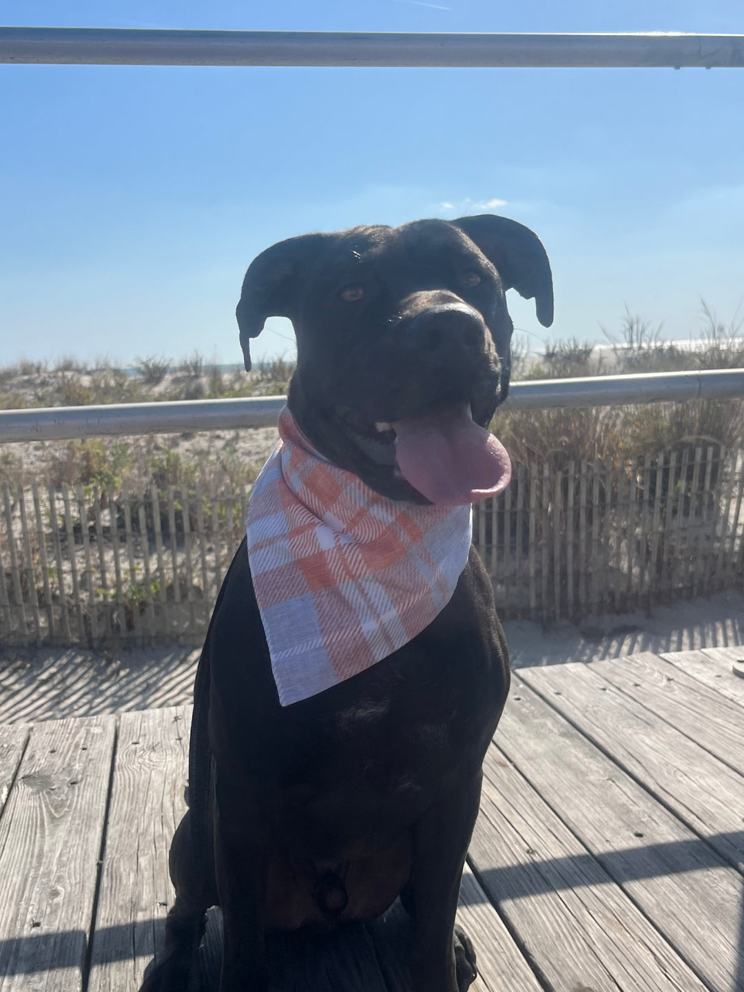 Wanderlust Wags Bandana Orange/Blue Plaid