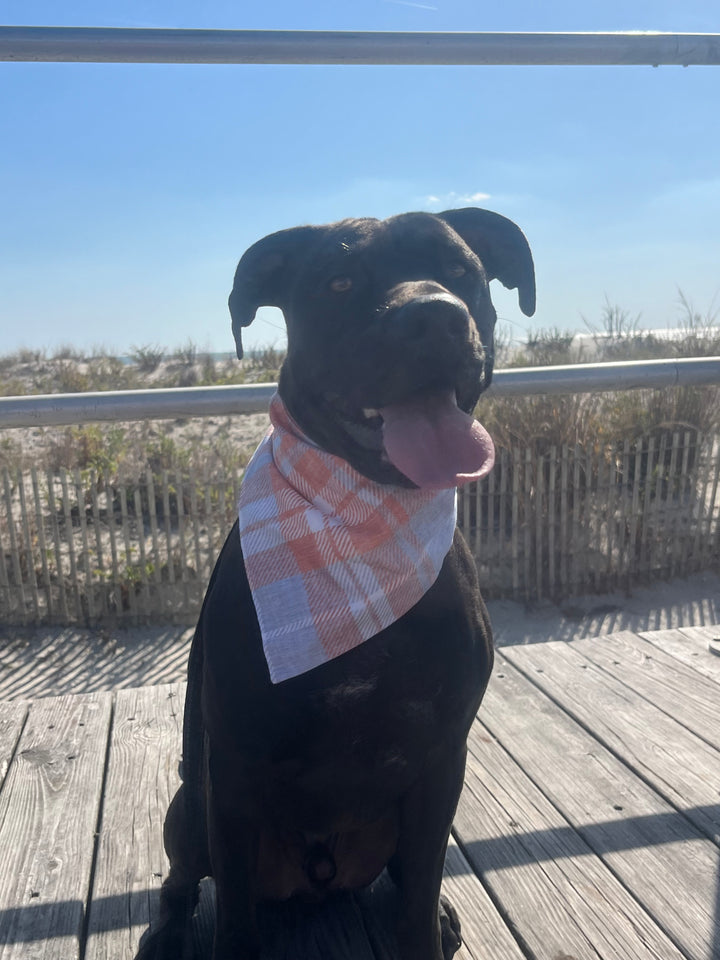 Wanderlust Wags Bandana Orange/Blue Plaid