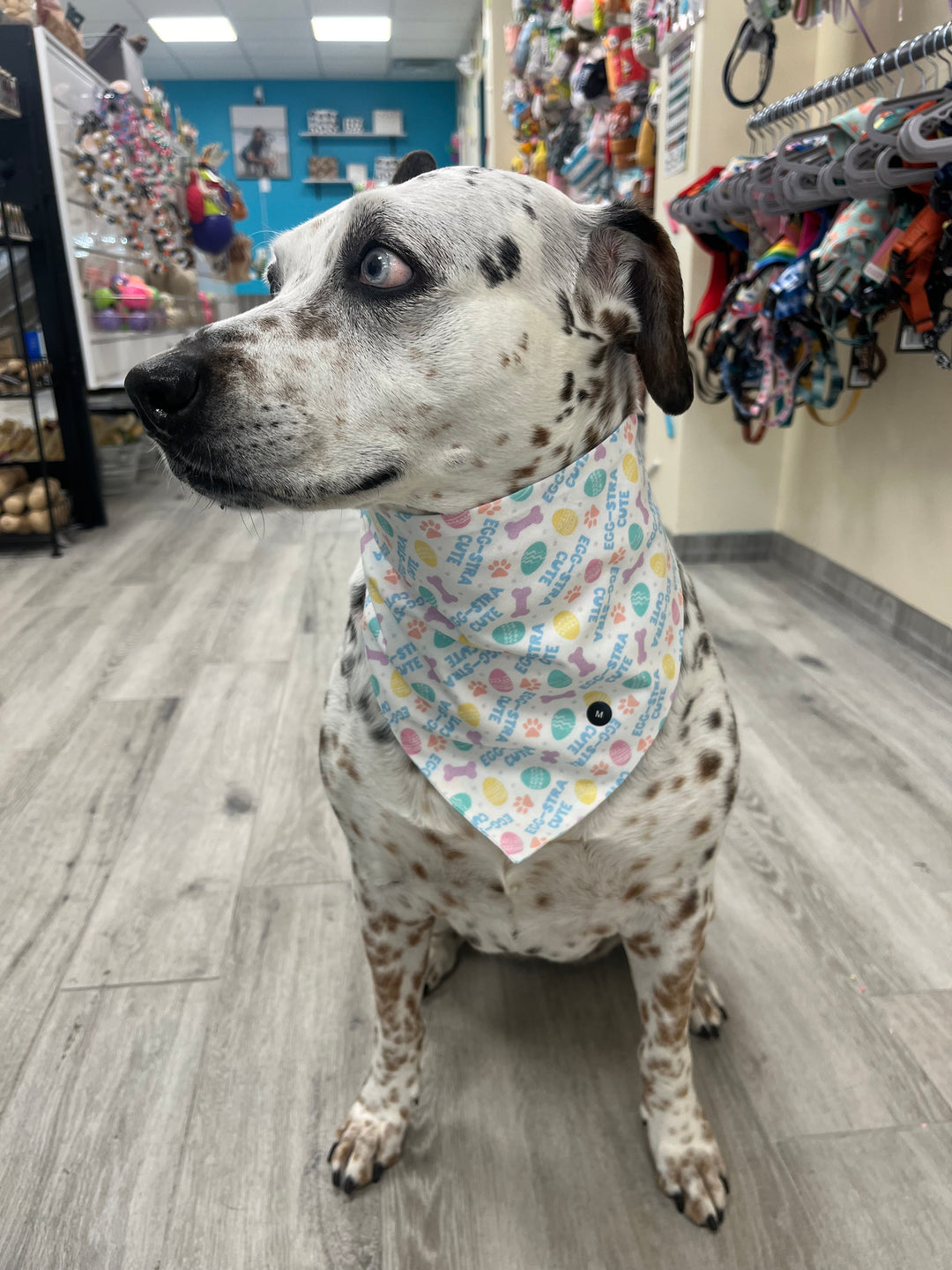 Wanderlust Wags Egg-stra Cute Bandana