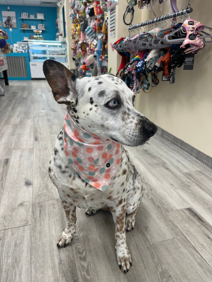 Wanderlust Wags Bandana Dog Bone Smiles
