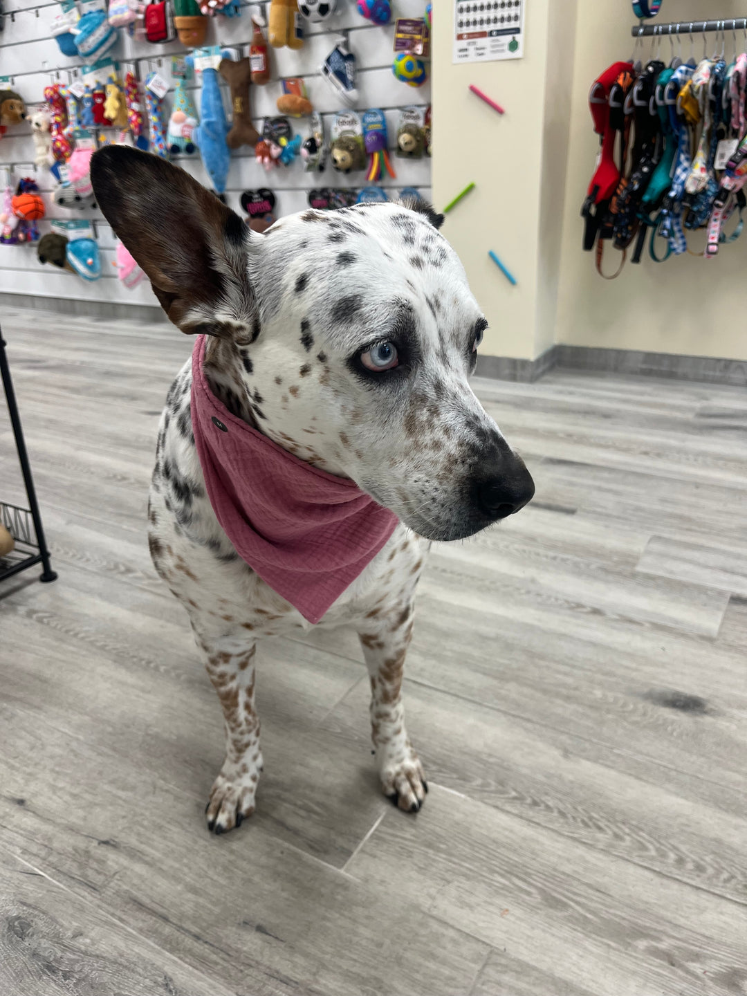 Wanderlust Wags Mauve Gauze Bandana