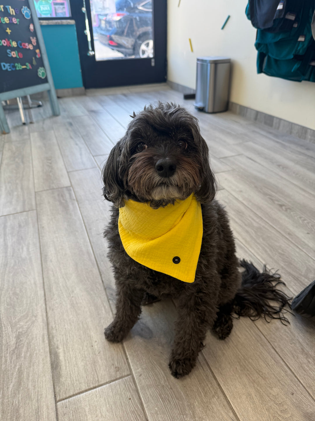 Wanderlust Wags Yellow Gauze Bandana