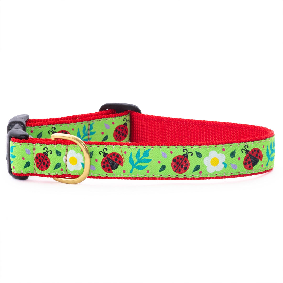 Ladybugs Collar