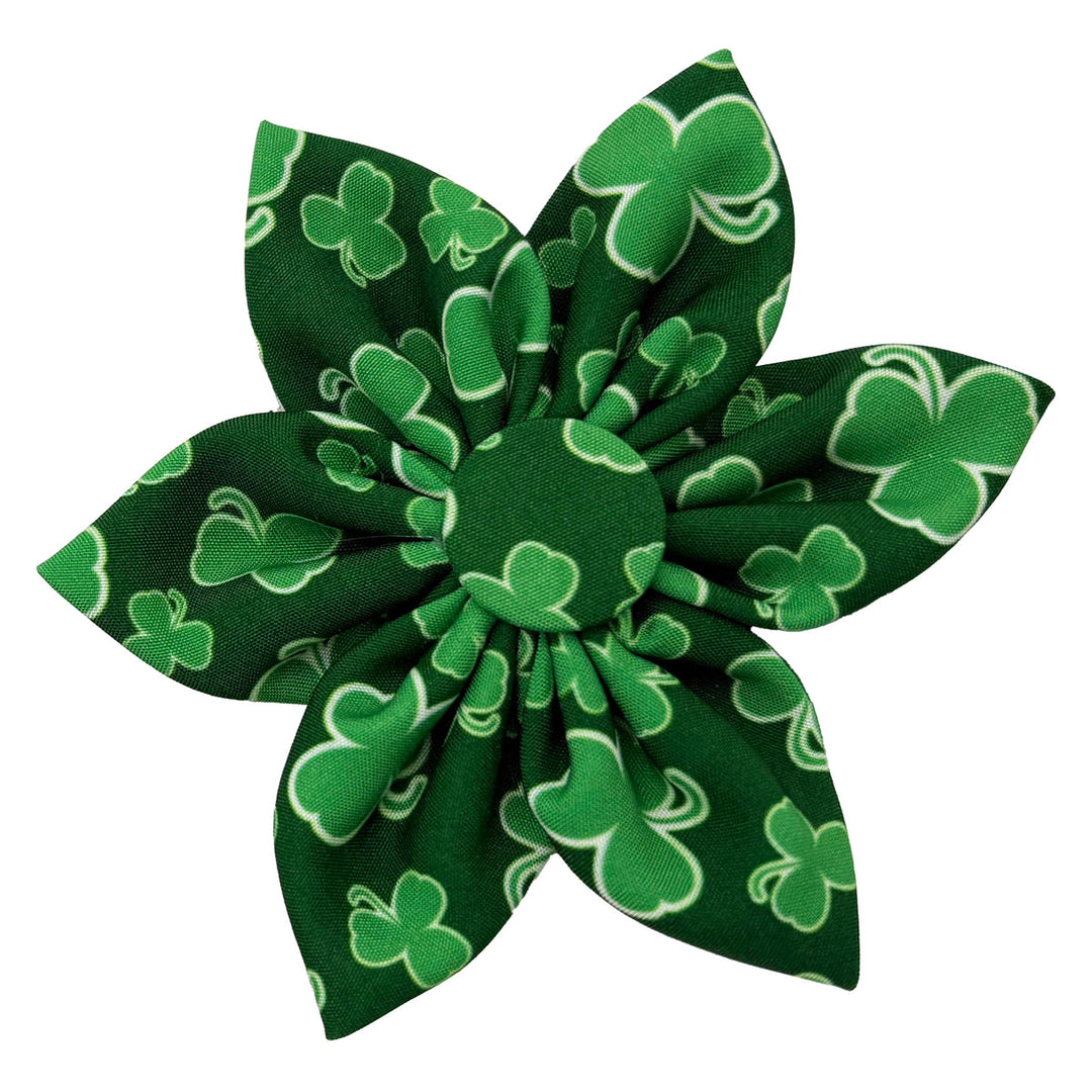 Lucky Shamrock Flower
