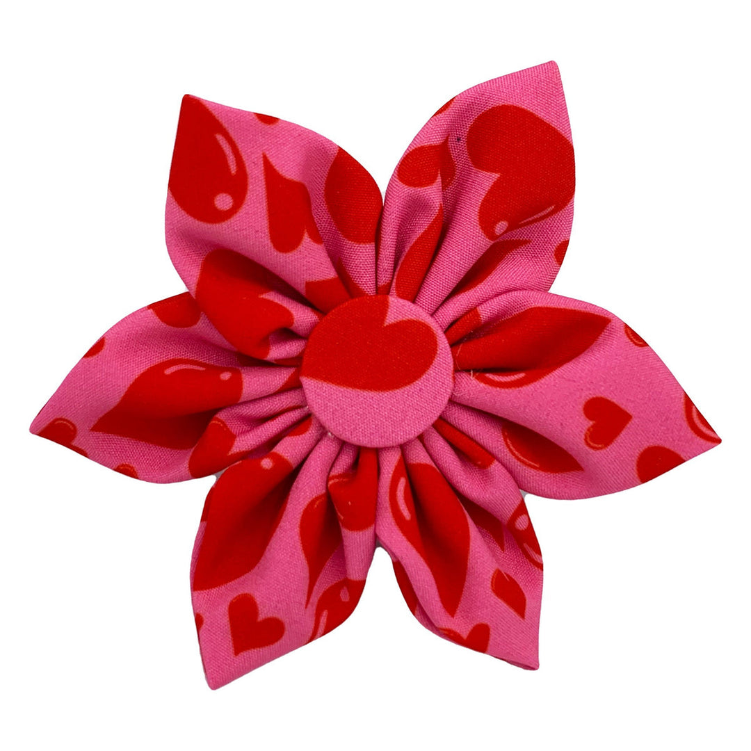 My Puppy Love Flower